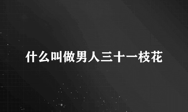 什么叫做男人三十一枝花