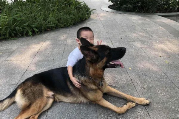 邯郸男孩失联3日发现遗体，这名男孩的死因到底是什么？