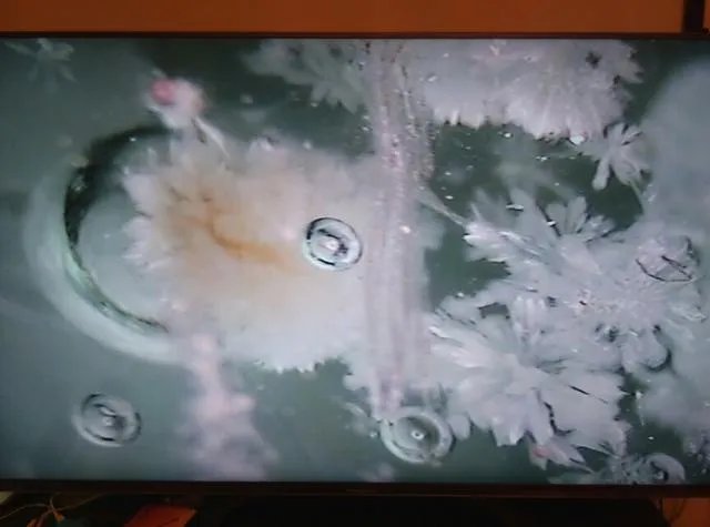 恒星的一生是怎样的?