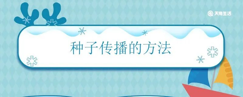 种子传播的方法