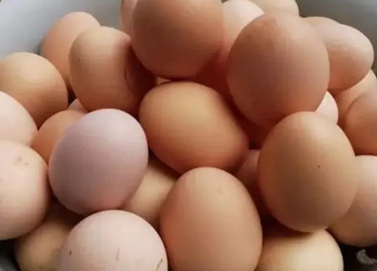 鸡蛋的功效与作用