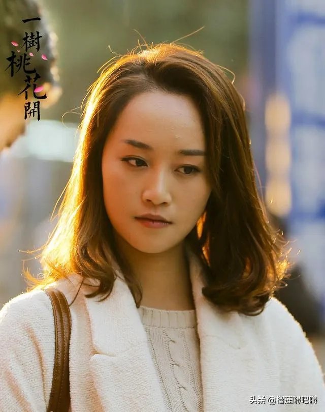 电视剧《一树桃花开》，相比盛开，为啥狄英最后能治服罗耀辉母？