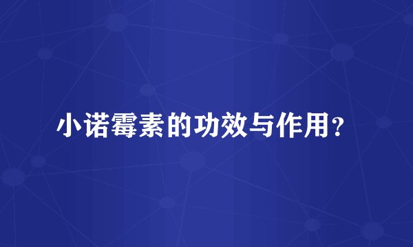 小诺霉素的功效与作用？