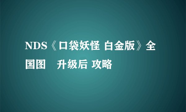 NDS《口袋妖怪 白金版》全国图鑑升级后 攻略