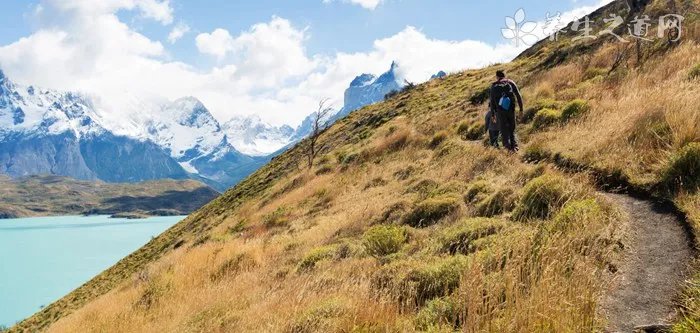 肢带型肌营养不良怎么办