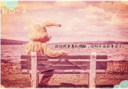 东宫原著小说全文免费阅读 匪我思存