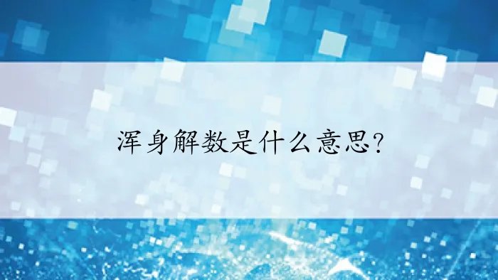 浑身解数是什么意思？