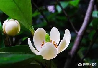 每天都开心不起来怎么办？