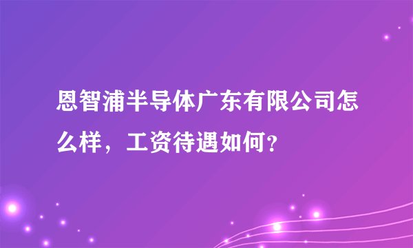 恩智浦半导体广东有限公司怎么样，工资待遇如何？