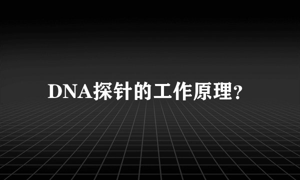 DNA探针的工作原理？