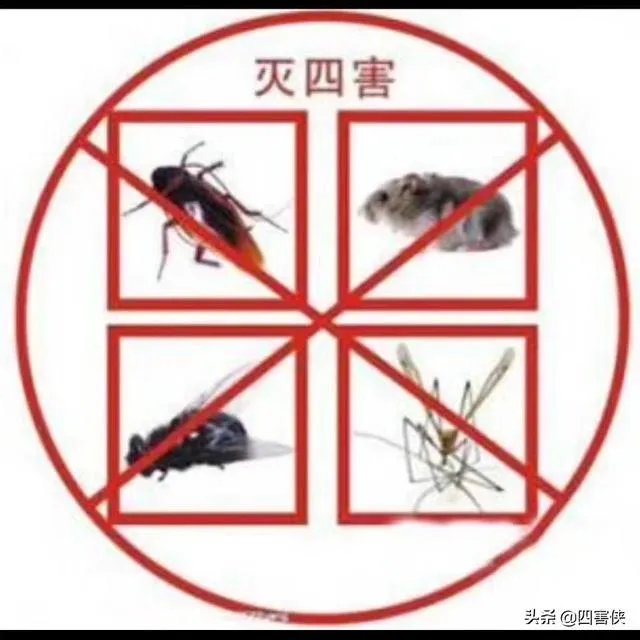 四害是什么?