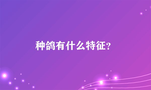 种鸽有什么特征？