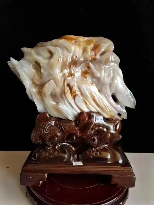 真正的树化石价格