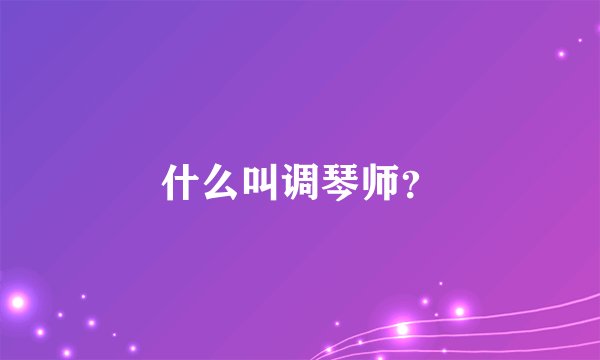 什么叫调琴师？