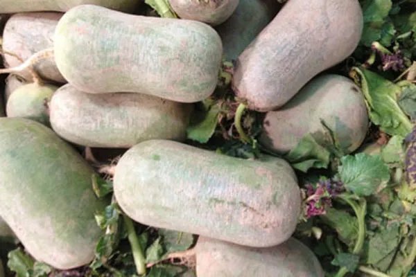 冬天吃什么好 冬天这样吃能帮助更好的促进健康