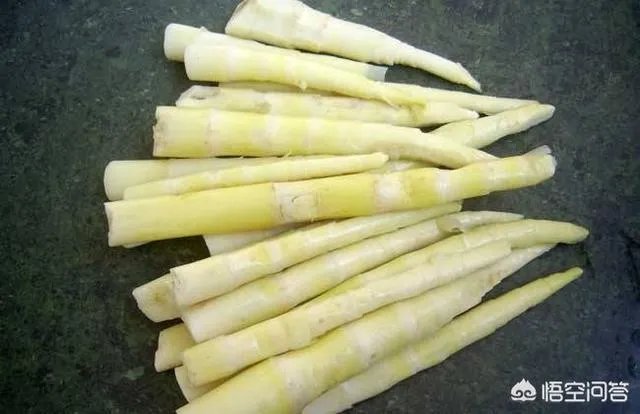 苦竹笋有什么功效?