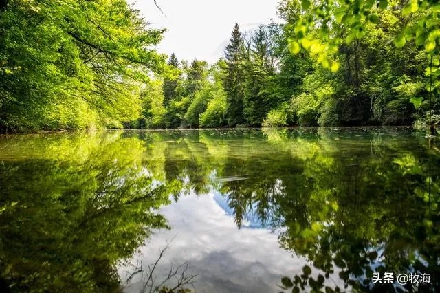 大棚养虾可靠吗？