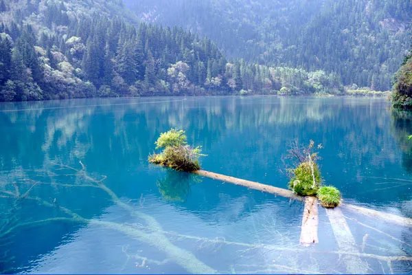 成都九寨沟旅游攻略 九寨沟旅游攻略