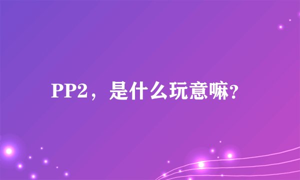 PP2，是什么玩意嘛？