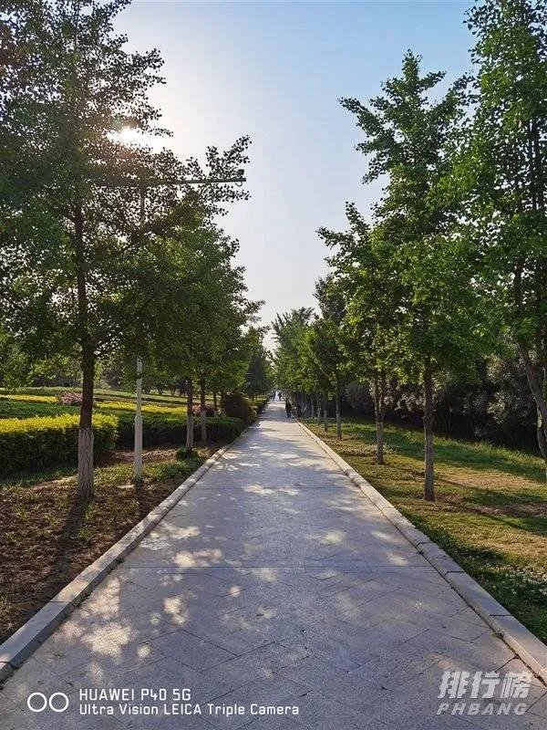 华为mate30和p40哪个拍照效果好_华为mate30和p40对比哪个好