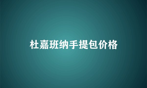 杜嘉班纳手提包价格