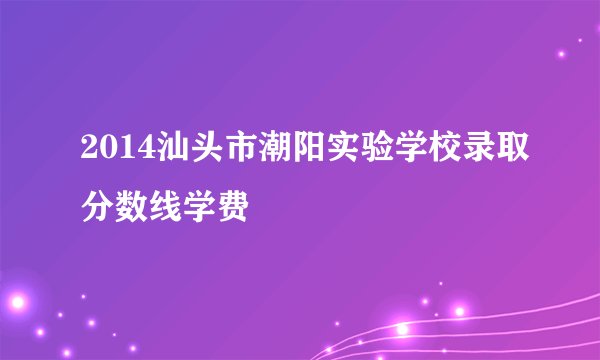 2014汕头市潮阳实验学校录取分数线学费