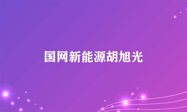 国网新能源胡旭光