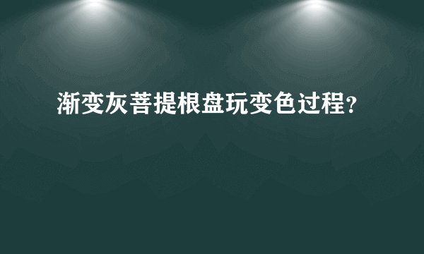 渐变灰菩提根盘玩变色过程？