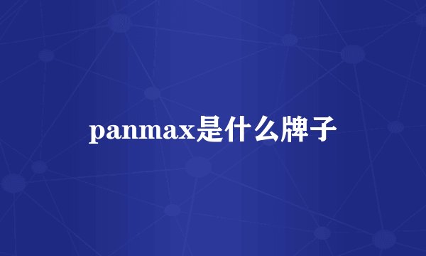 panmax是什么牌子