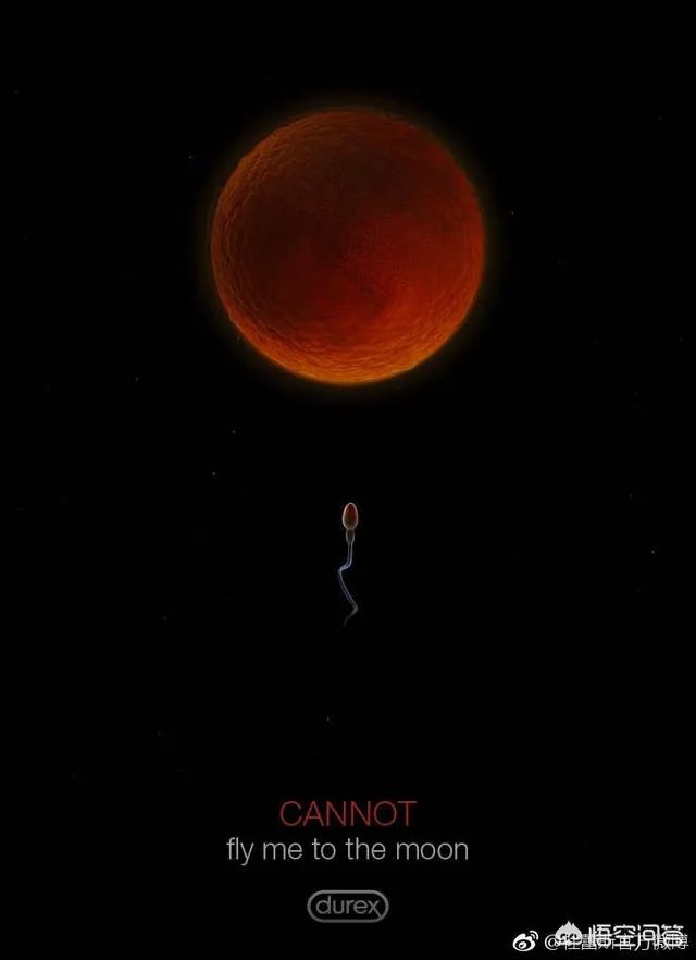 你曾拍过或者见过的最美的月亮是什么样的?