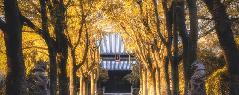 远上寒山石径斜xie还是xia 远上寒山石径斜怎么读