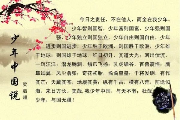 中华少年朗诵视频