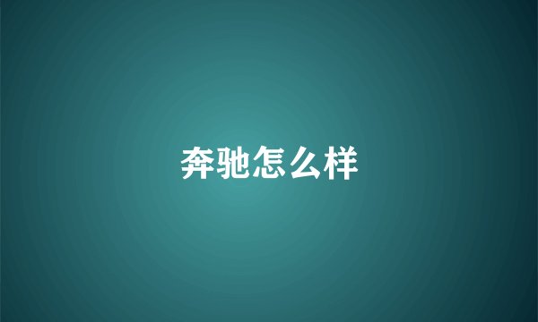 奔驰怎么样