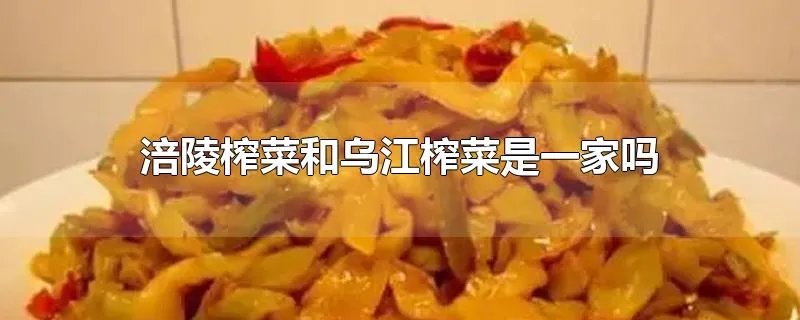 涪陵榨菜和乌江榨菜是一家吗