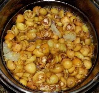 自己熬制枇杷膏