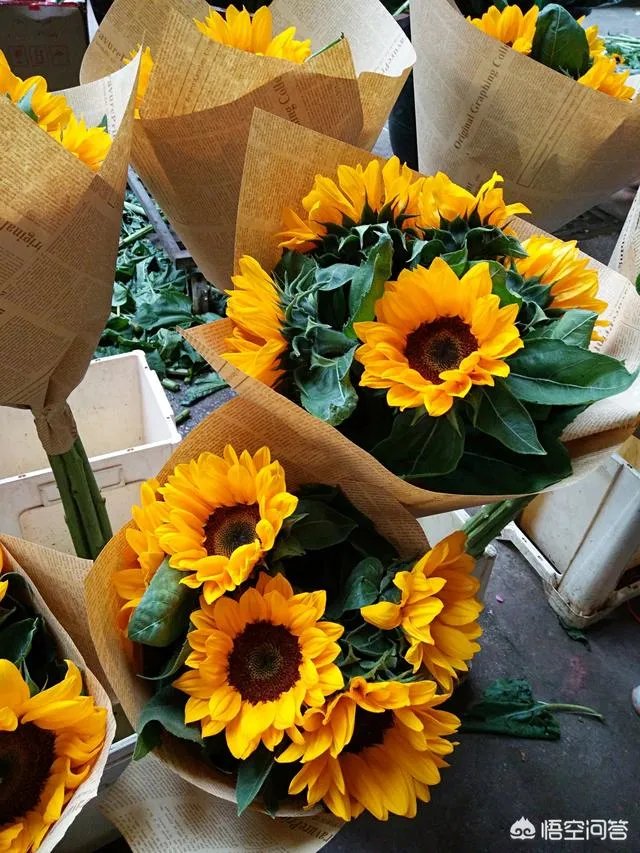 云南有哪些大的鲜花市场？