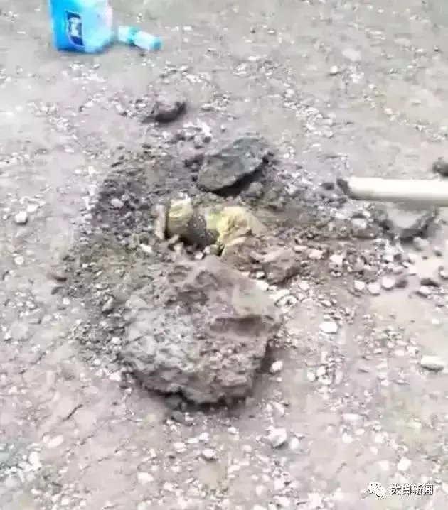 安徽蚌埠4岁女童失踪后被埋入路面,这是怎么一回事?