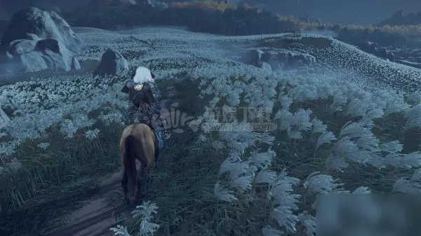 《对马岛之魂》毒针在什么地方采集 致幻针采集位置介绍