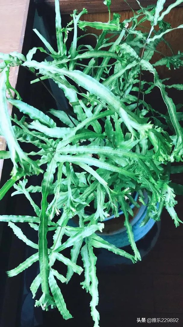 一席话，一句话，有差别吗？