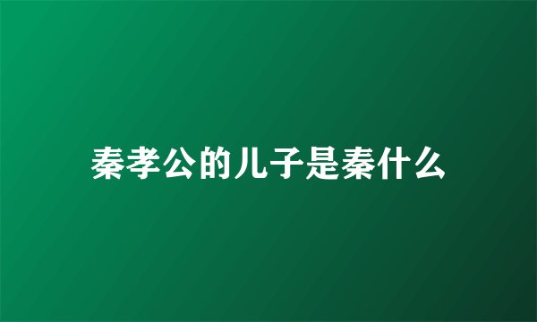 秦孝公的儿子是秦什么