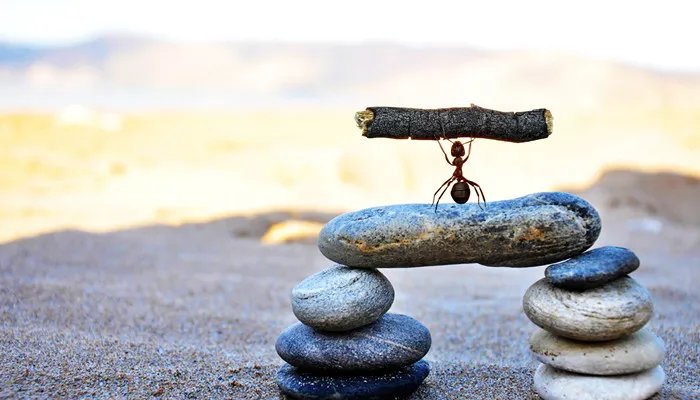 关于责任的名言 责任的名言有什么