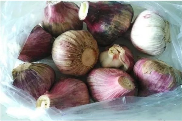 糖醋泡蒜的正确做法