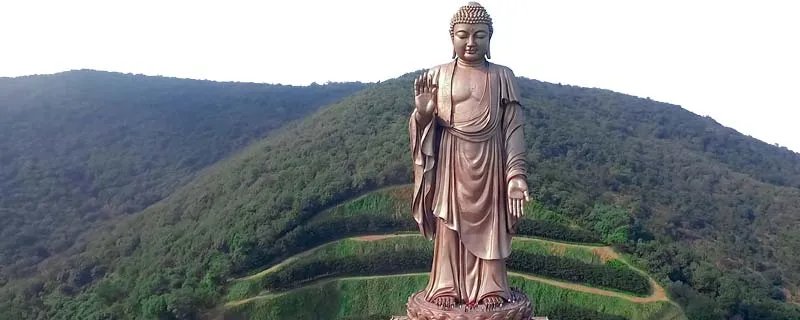 我国最大佛像是什么 我国最大佛像是什么
