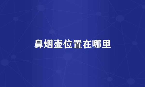 鼻烟壶位置在哪里