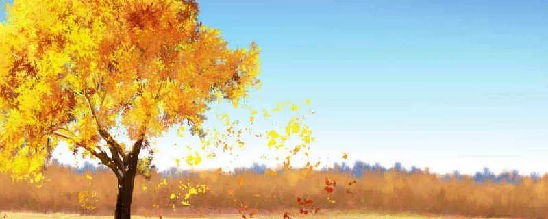 秋分的美好寓意