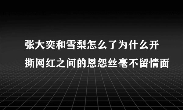 张大奕和雪梨怎么了为什么开撕网红之间的恩怨丝毫不留情面