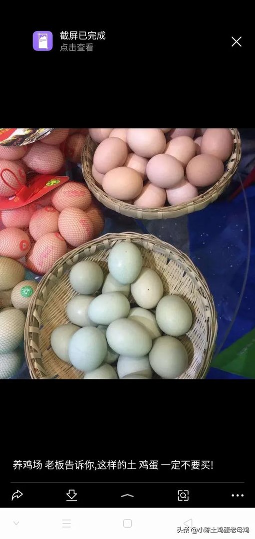 养鸡场如何避免产出含抗生素的鸡蛋?