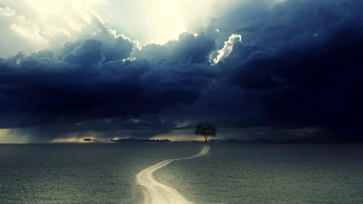 十一月初一出生的女孩什么命，十一月初一出生的人命运如何？