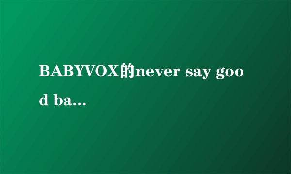 BABYVOX的never say good bay的中文歌词？