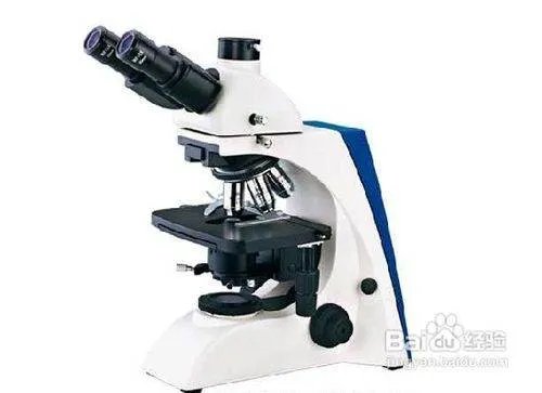 暗视野显微镜的介绍